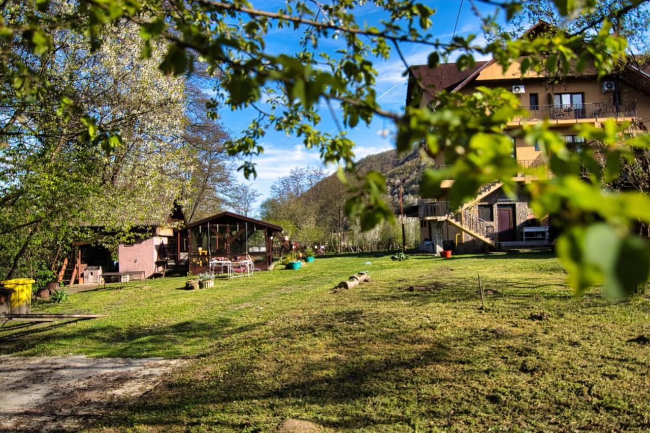 Motel Seaca Călimăneşti Exteriör bild